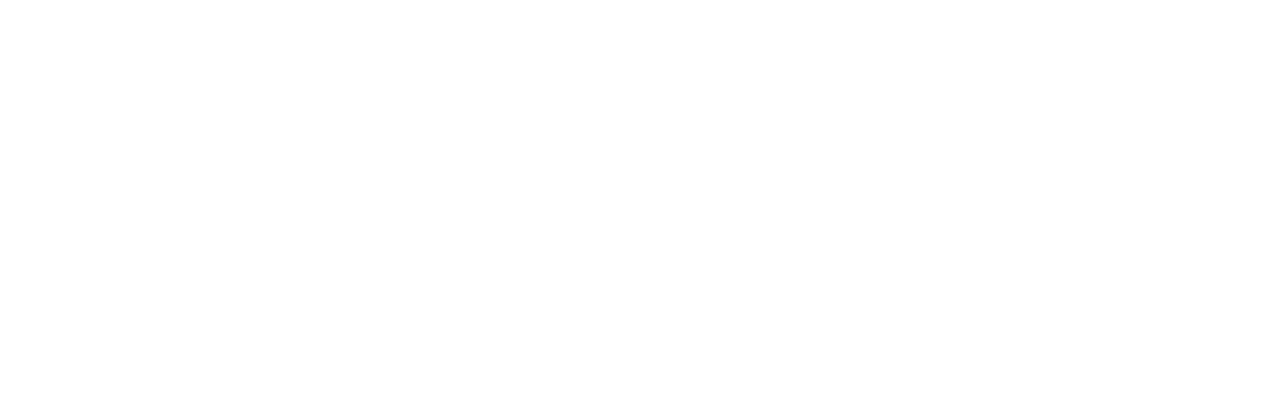 witailer_white_logo